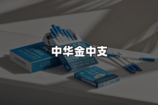中华金中支
